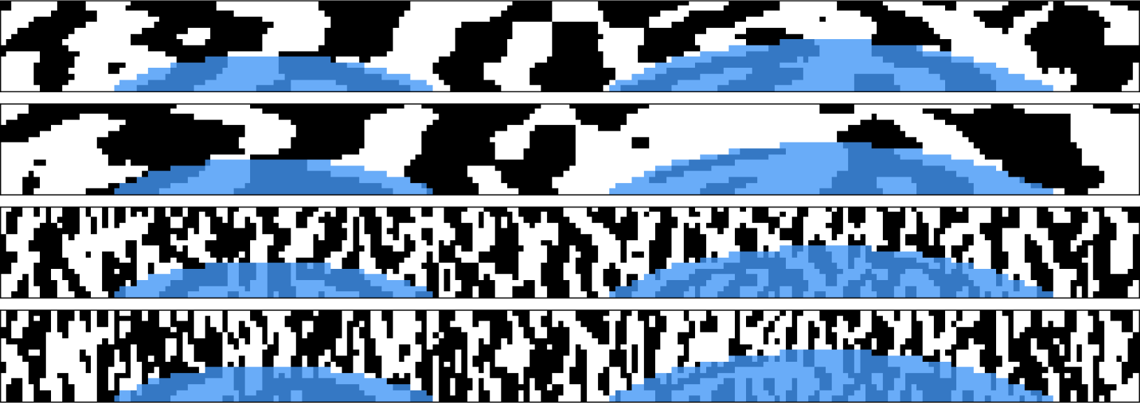Figure 28: Final iris code. This is the anonymized iris texture expressing one's uniqueness.